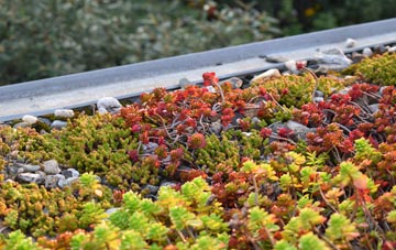 the cost of Algarkirk green roof installation