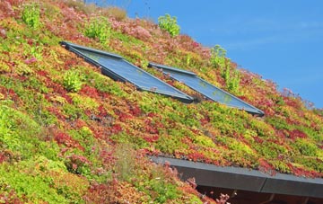 Algarkirk living roof systems