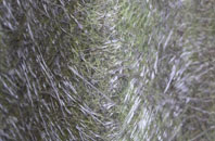 Algarkirk fibreglass roof work